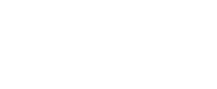 Projekto partneris Alytaus regiono pramonės ir verslo asociacija ARPVA